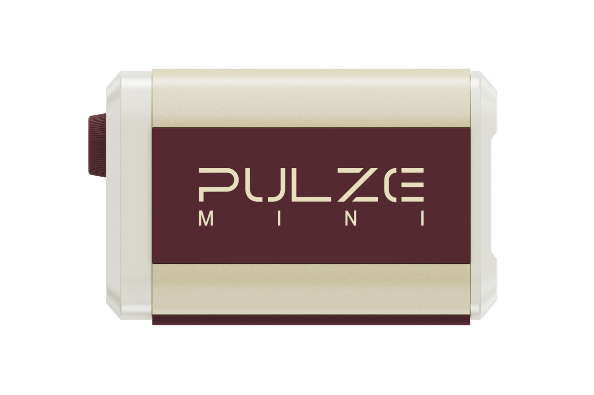 Pulze Mini – Hotone Audio
